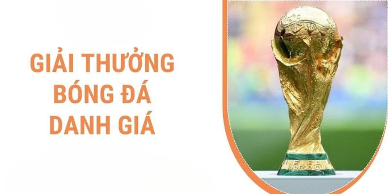 Giải bóng đá lớn nhất hành tinh và những thông số thú vị về nó