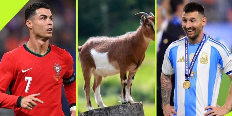 Goat là gì